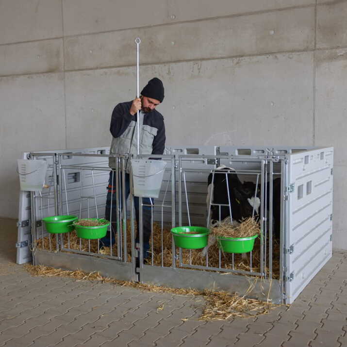 Vasikkakarsinan asennustanko