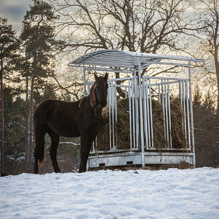 Ristikkoaidalla varustettu ruokintahäkki hevosille, 8 paikkaa