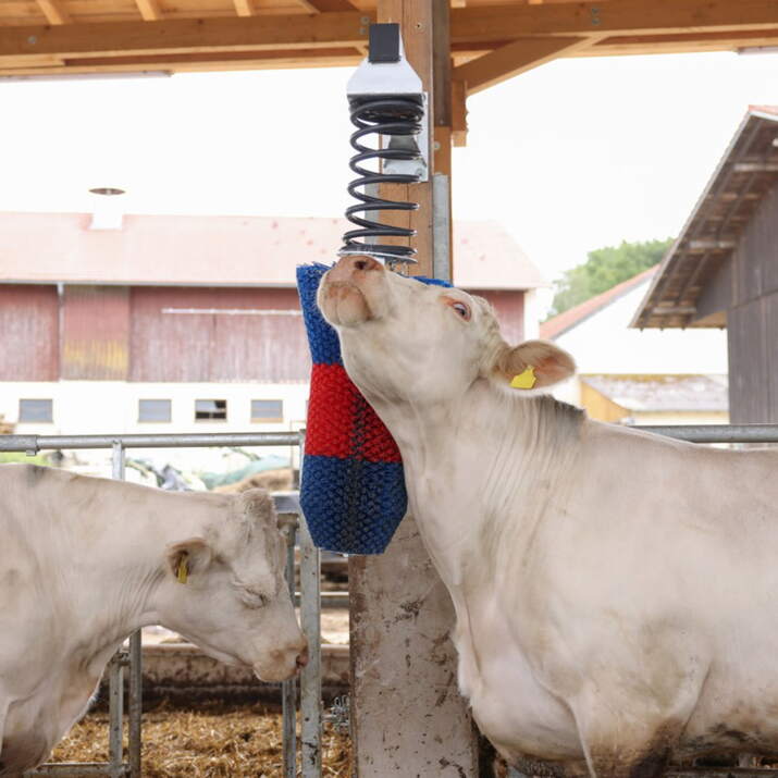 Karjaharja HappyCow FlexiSwing