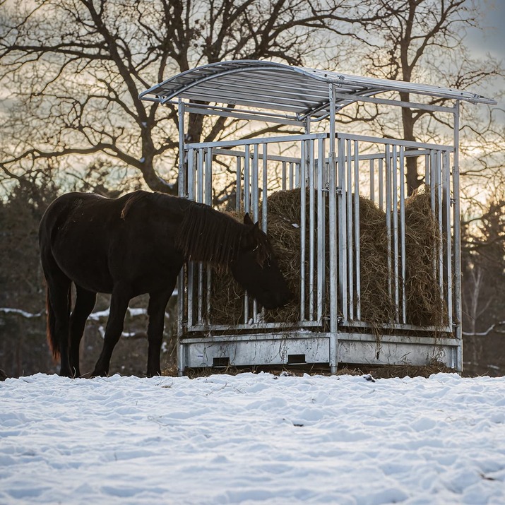 Ristikkoaidalla varustettu ruokintahäkki hevosille, 8 paikkaa