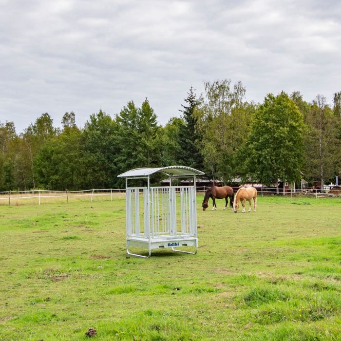 Ristikkoaidalla varustettu ruokintahäkki hevosille, 8 paikkaa