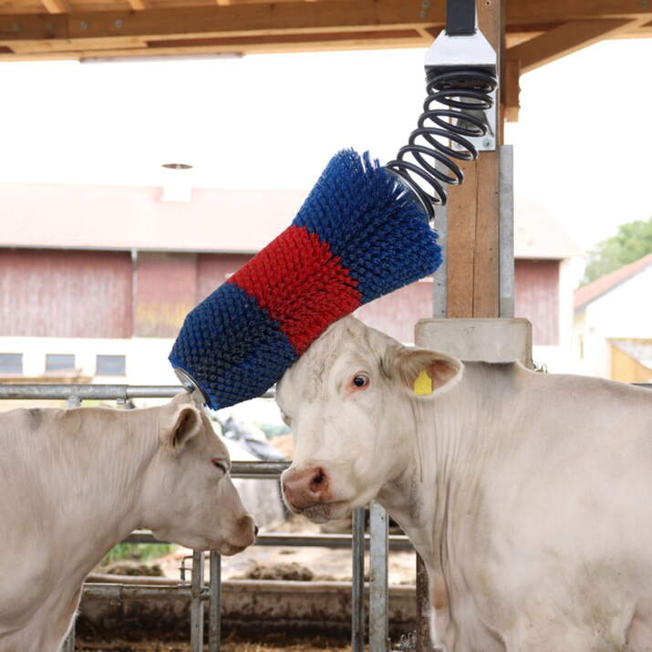 Karjaharja HappyCow FlexiSwing