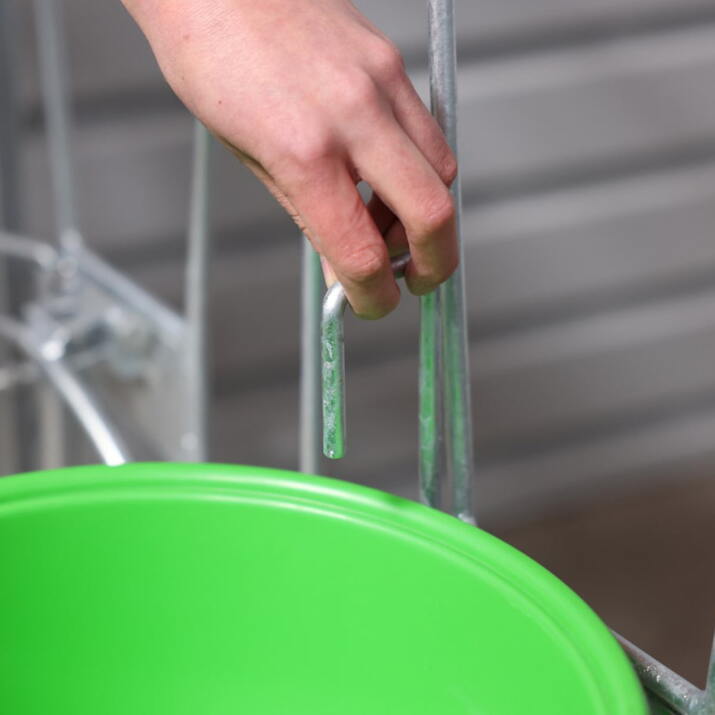 Vasikkakarsinan etuseinä