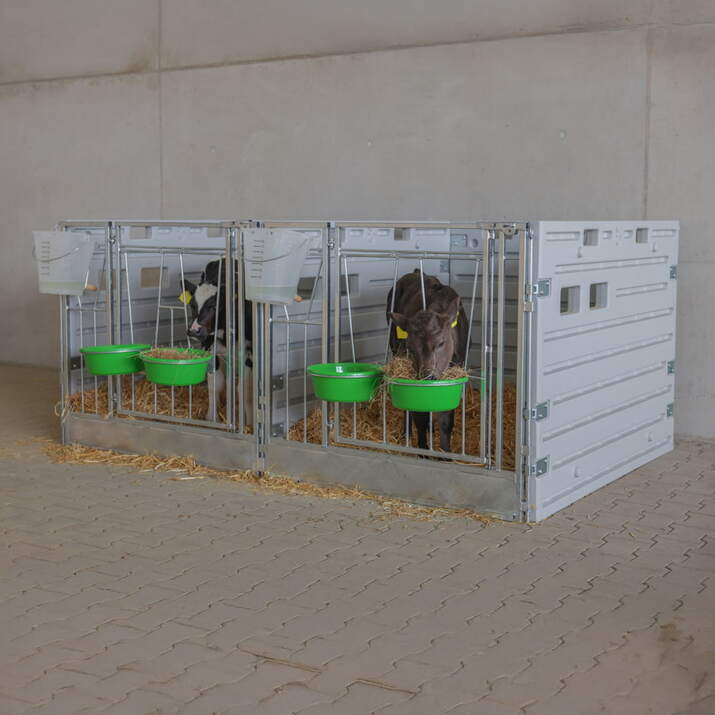 Vasikkakarsinan takaseinä