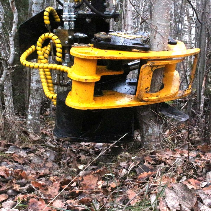 Energiapuukoura 180