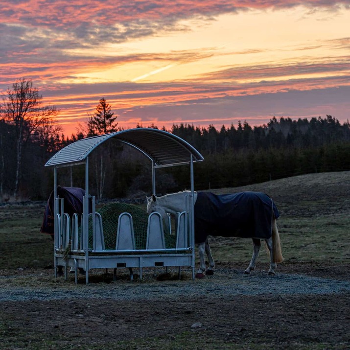 Katettu ruokintahäkki hevosille, peitetyt lapatuet