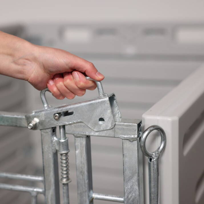 Vasikkakarsinan etuseinä