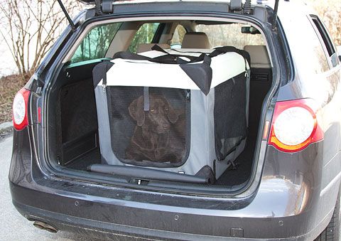 Kangashäkki koiralle, XXL-koko