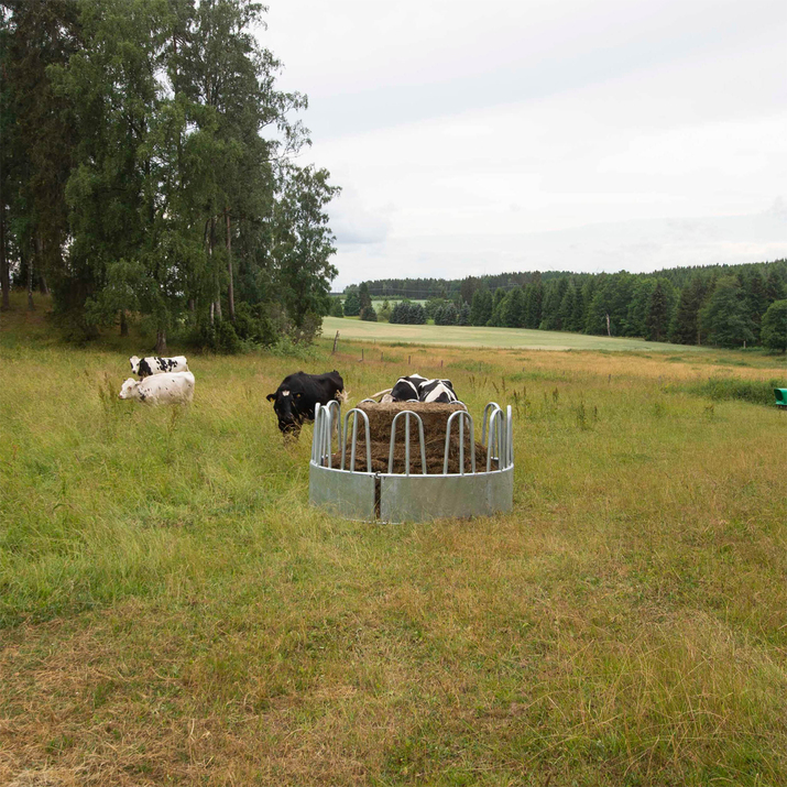 Lapatuilla varustettu ruokintahäkki nautakarjalle, 12 paikkaa