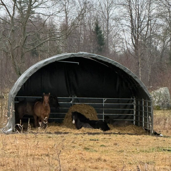 Tuulensuoja 6 x 6 m, sis. jaluskaarelliset aitaelementit