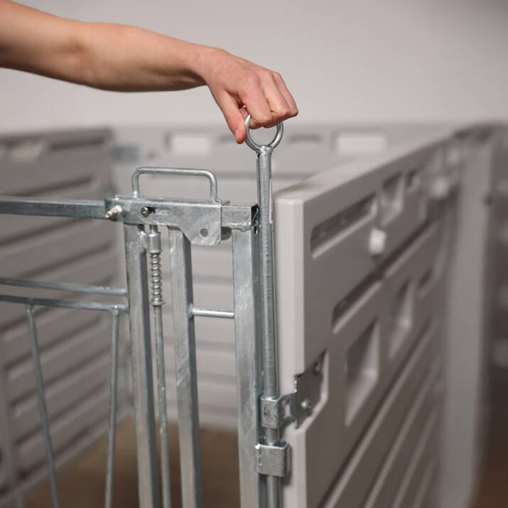 Vasikkakarsinan asennustanko