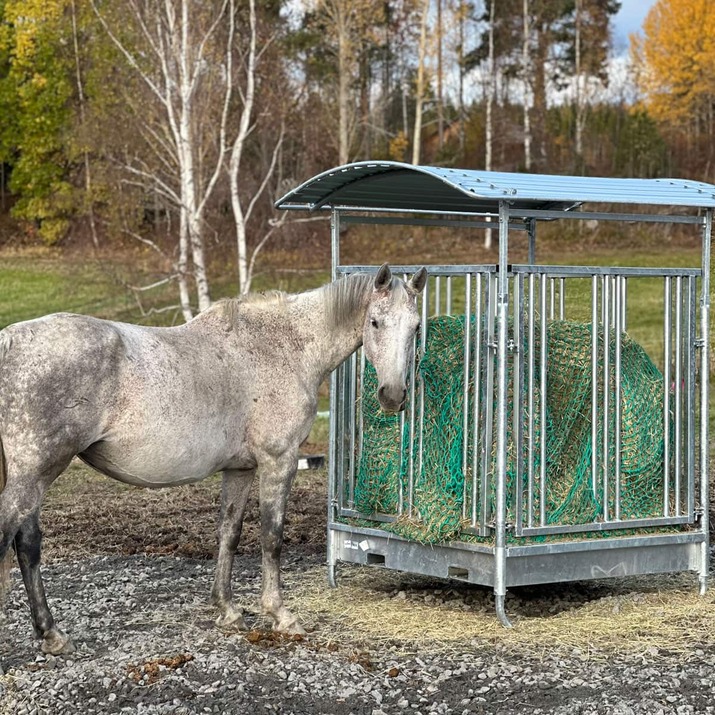 Ristikkoaidalla varustettu ruokintahäkki hevosille, 8 paikkaa