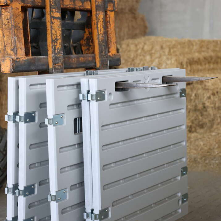 Vasikkakarsinan takaseinä