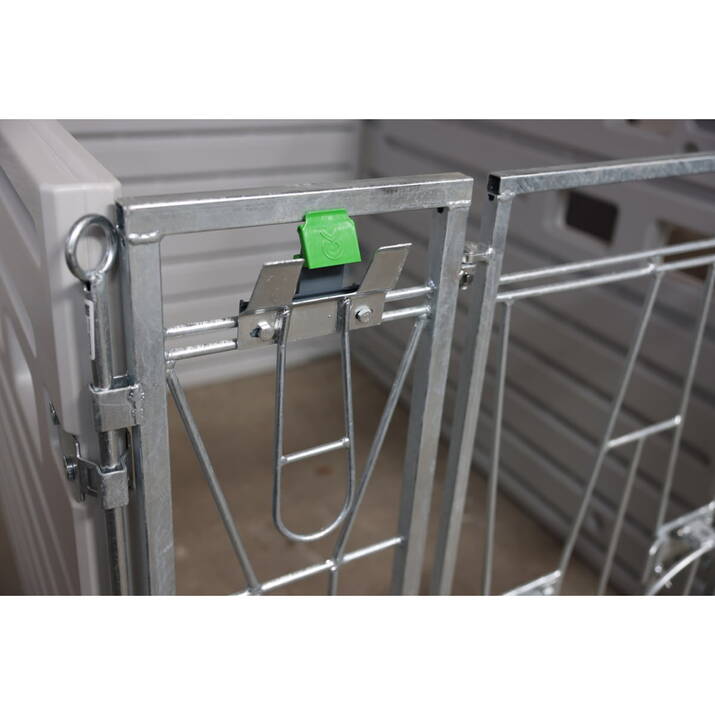 Vasikkakarsinan etuseinä