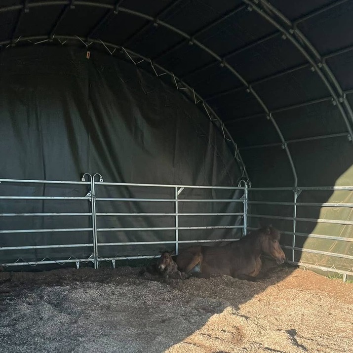 Tuulensuoja 6 x 6 m, sis. jaluskaarelliset aitaelementit