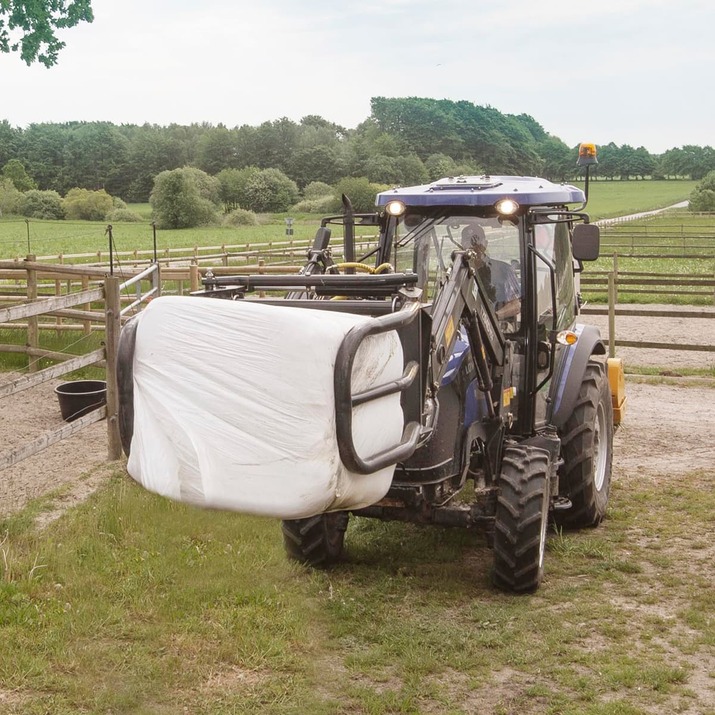 BG2003-paalipihti, suuri BM