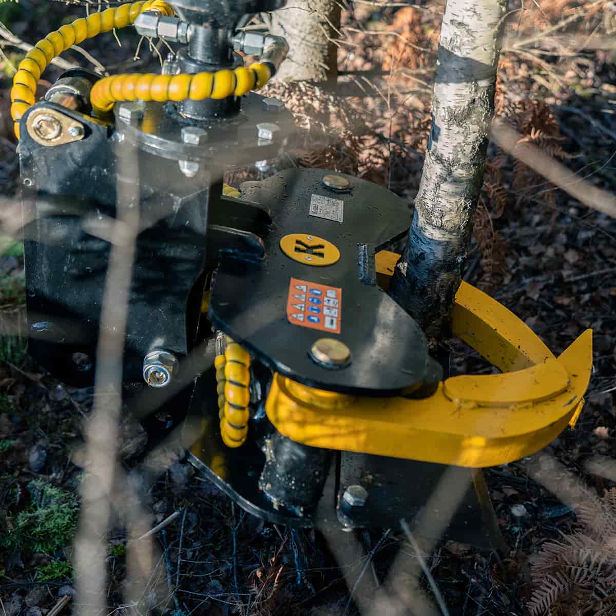 Energiapuukoura 150