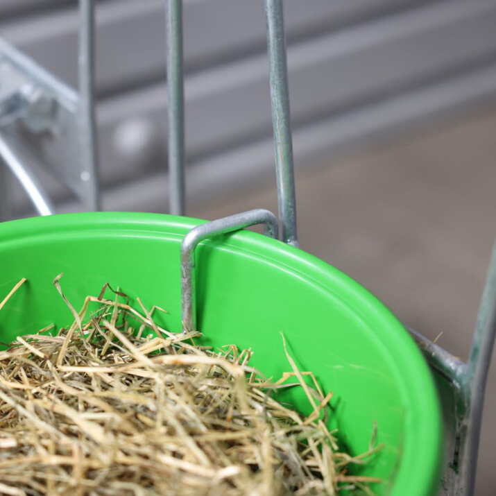 Vasikkakarsinan etuseinä