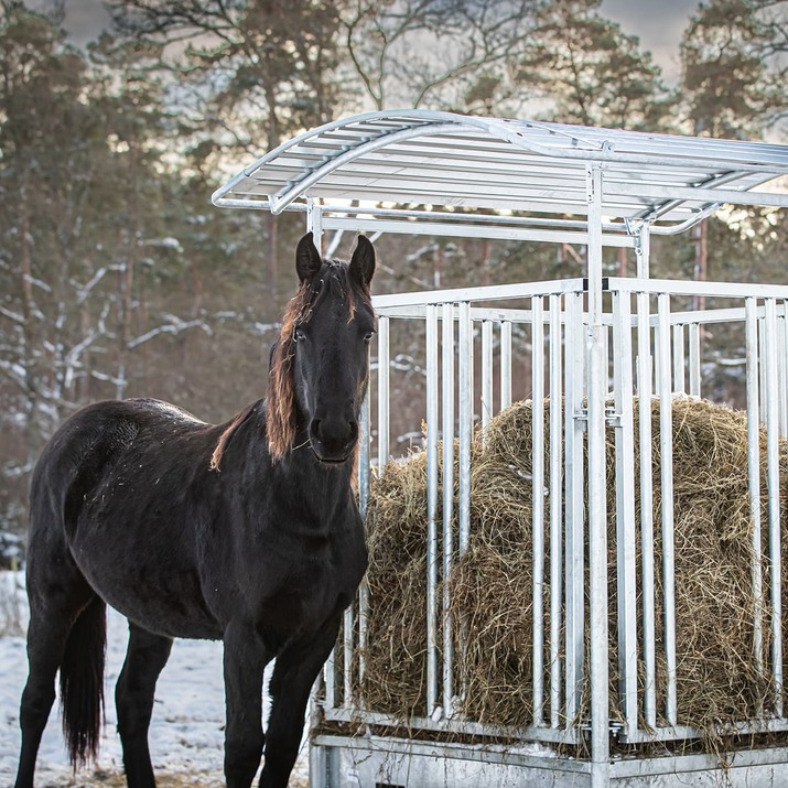 Ristikkoaidalla varustettu ruokintahäkki hevosille, 8 paikkaa