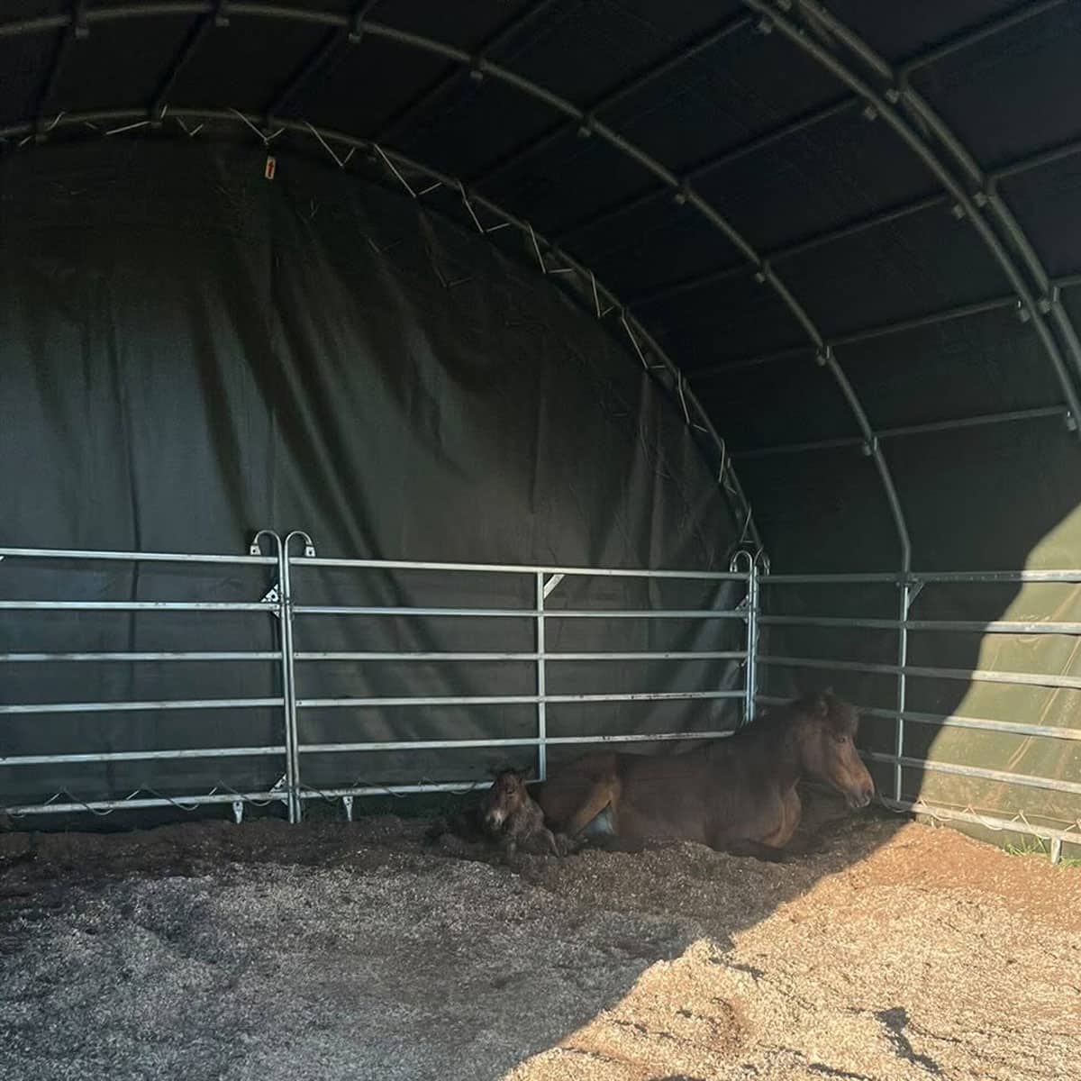Tuulensuoja 6 x 6 m